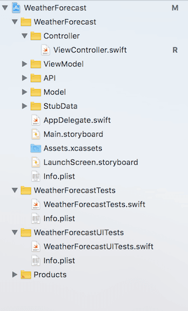 MVVM iOS Folder Structure